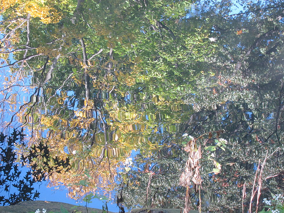 Bank Rock Bay