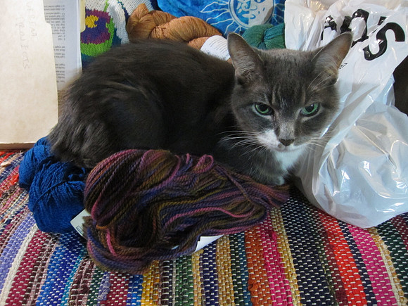 MY yarn