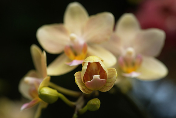 unfolding