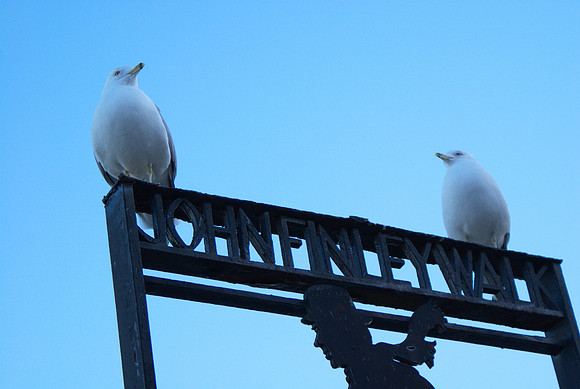 Sentries