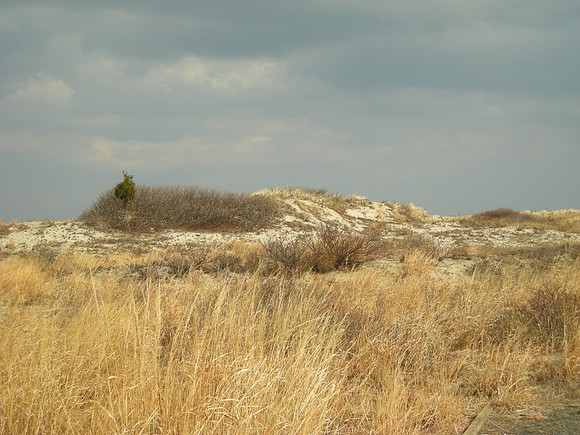 what's left by february