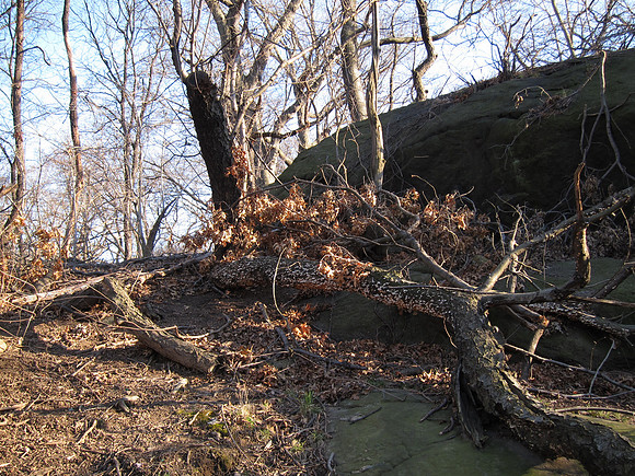 Central Park