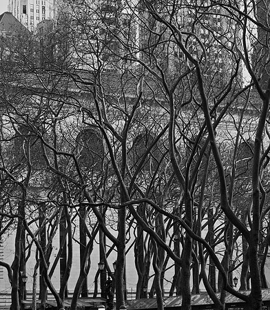 Bryant Park and the NY Public Library