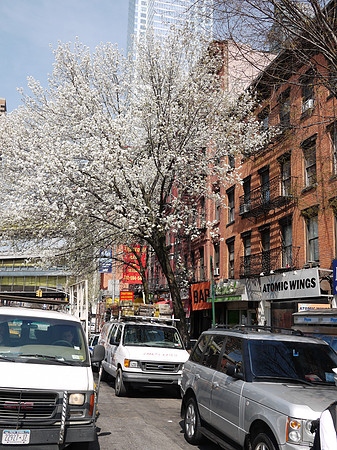 Springtime, Ninth Avenue
