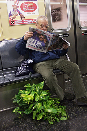 Passenger, C Train
