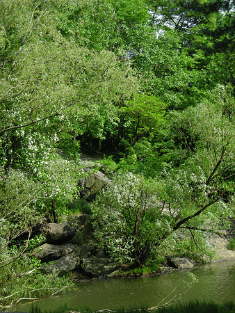 At Central Park Lake