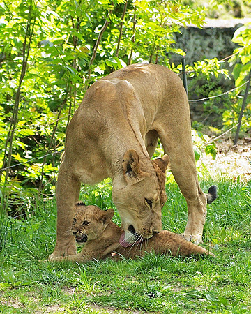 Awww, Mom!  You're embarrassing me!