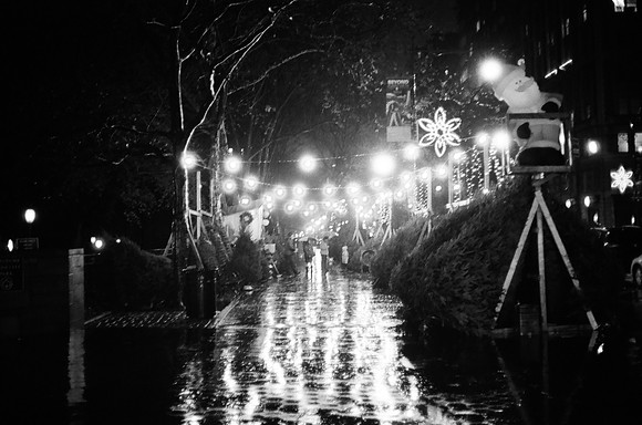 Christmas tree stand, 81st Street and Columbus Avenue