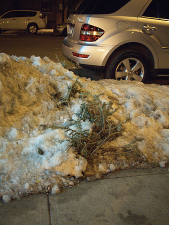 Remains of Christmas