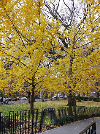 Theodore Roosevelt Park