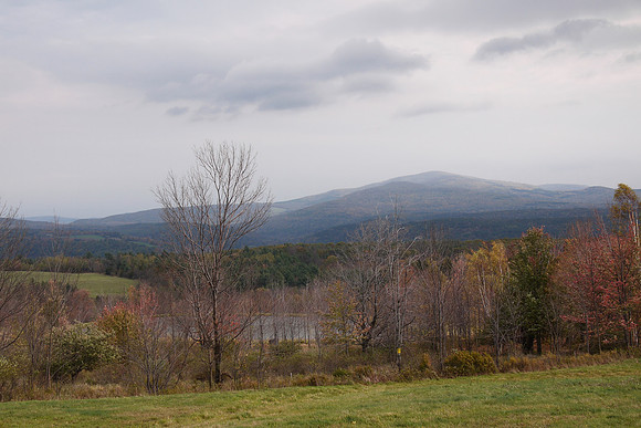 Greene County NY