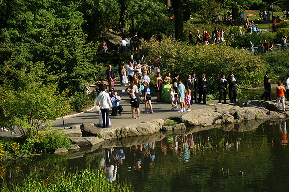 The Wedding Photographers
