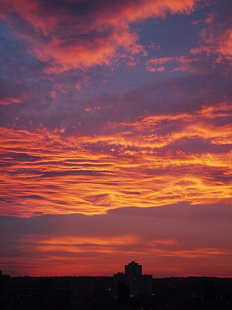Sunset over the Bronx