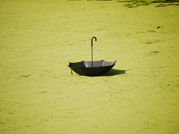 Magritte aftermath