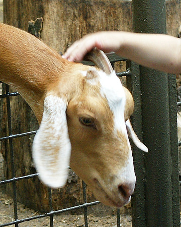 Central Park Children's Zoo