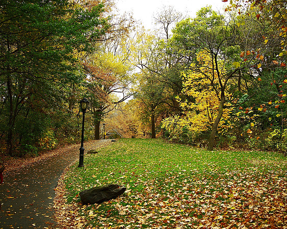 Central Park, Autumn