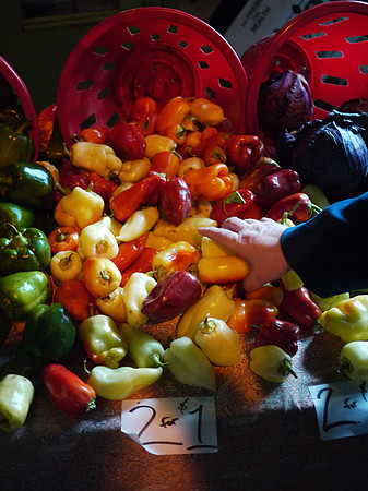 Street cornucopia