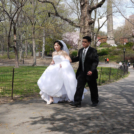 Spring afternoon in Central Park