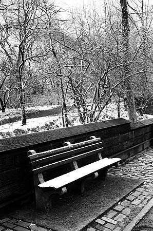 Bench in snow, Central Park West
