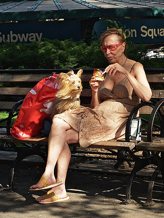 Union Square Park:  patience