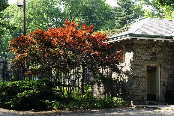 Central Park, The Ramble restrooms