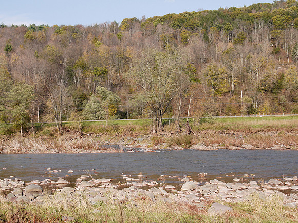 Greene County NY