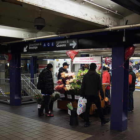 Last chance, Valentine's Day