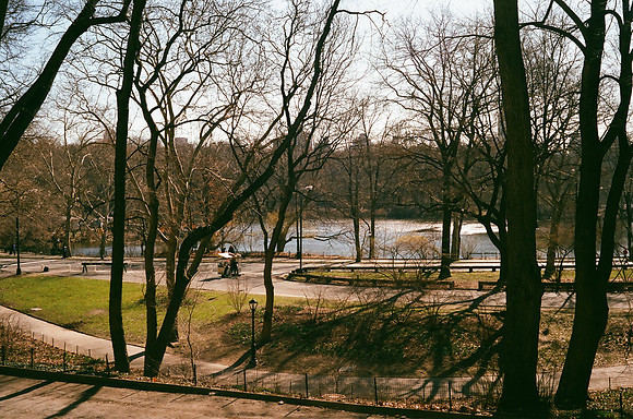 Central Park Lake and vicinity