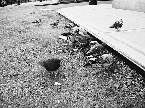 open-air buffet