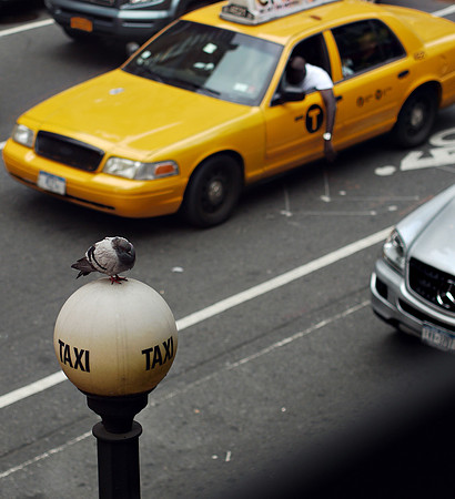 Eighth Avenue and 40th Street