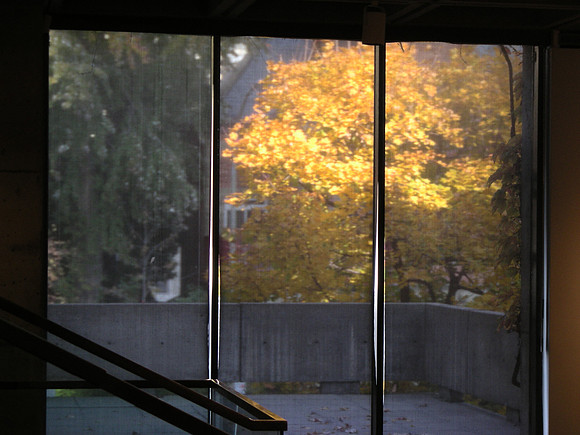 glowing tree (1)