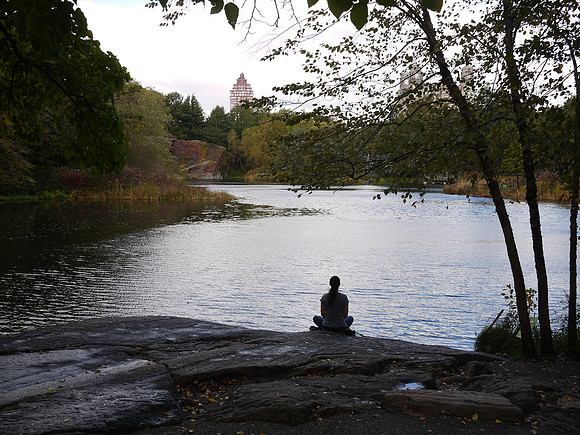 Contemplating Turtle Pond