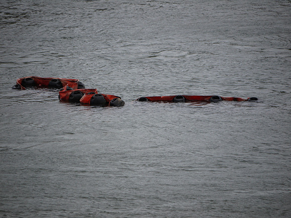 In the East River after Hurricane Irene