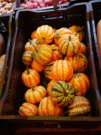 Little tiny pumpkins