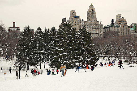 Central Park, Winter