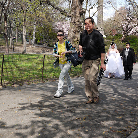 Central Park, Spring Sunday