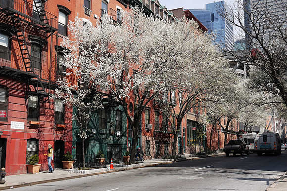 West 39th Street, Hell's Kitchen
