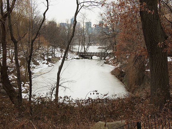 Northern reach of The Lake in Central Park, winter