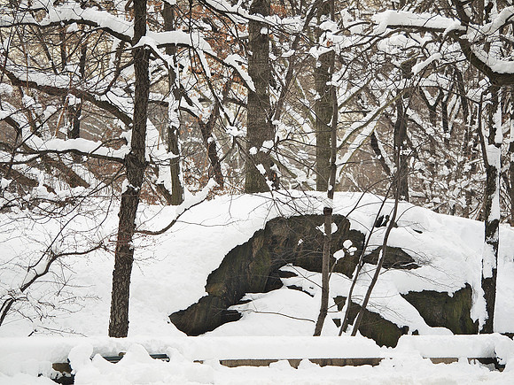 Along Central Park West