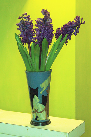 Vase of hyacinths