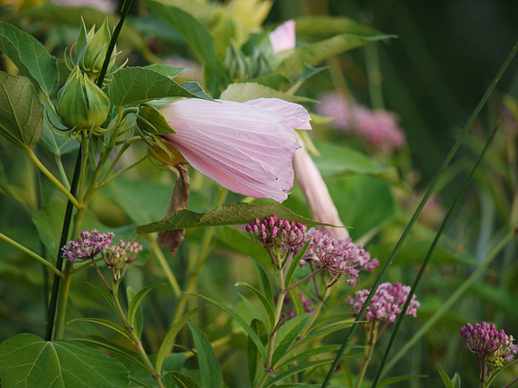 The still, small voice of trumpets