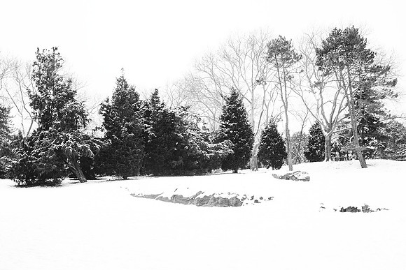 Cedar Hill, Central Park
