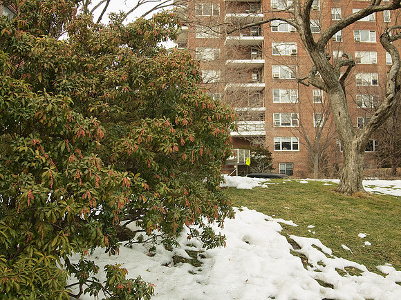 Riverdale (Bronx) NY