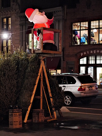 Christmas Tree stand, Columbus Avenue