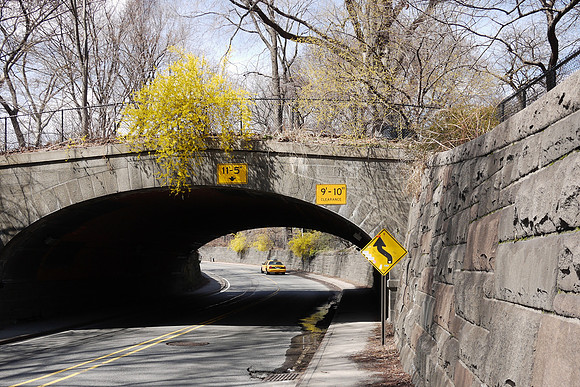 Transverse, adorned in yellow