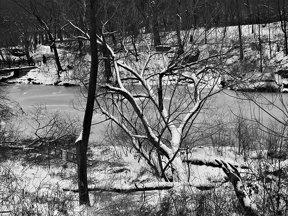 Upper Lobe of The Lake, winter