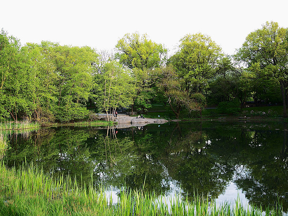 Turtle Pond