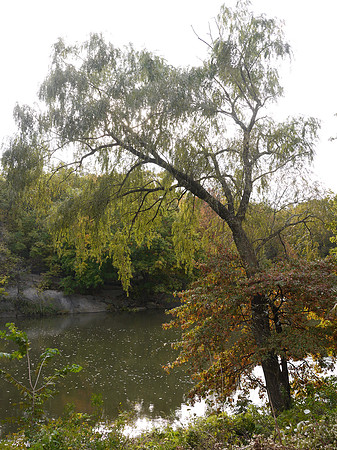 Near Willow Rock
