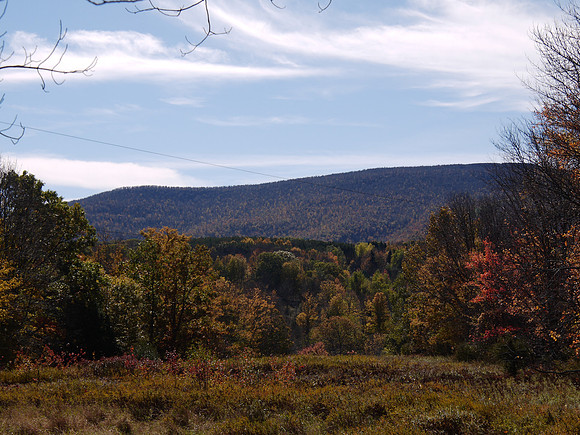 Greene County, NY