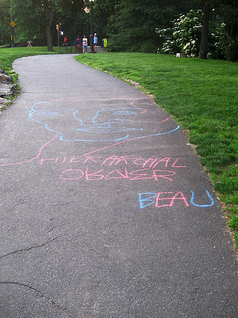HIERARCHICAL ORDER BEAU (Cedar Hill, Central Park)